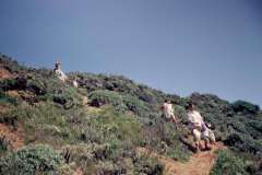 Roto_10_002