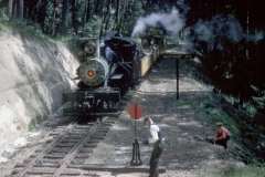 Roto_10_012