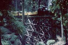 Roto_10_016