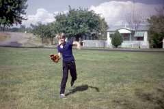 Roto_10_021