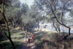 Roto_11_008
