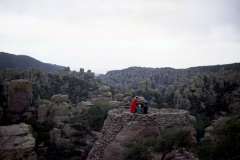 Roto_11_022