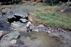Roto_12_011