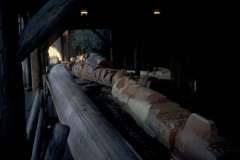 Roto_13_009