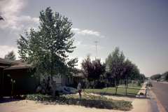 Roto_14_003