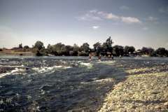 Roto_14_018