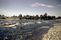 Roto_14_019