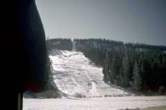 Roto_15_002