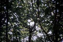 Roto_16_023