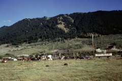 Roto_17_008