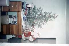 Roto_02_005