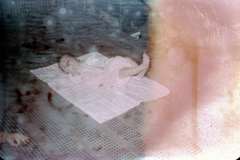 Roto_02_010