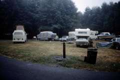 Roto_21_002