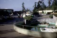 Roto_21_008