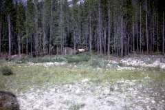 Roto_22_027