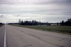 Roto_23_013