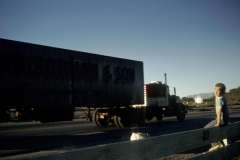 Roto_24_018