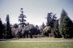 Roto_27_018