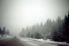 Roto_29_007