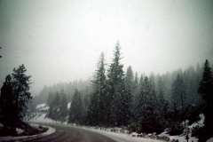 Roto_29_008