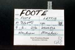 Roto_29_019