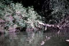 Roto_31_004