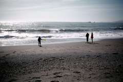 Roto_31_023