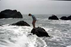 Roto_34_008
