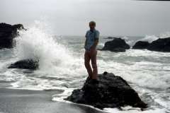Roto_34_009