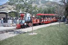 Roto_35_006