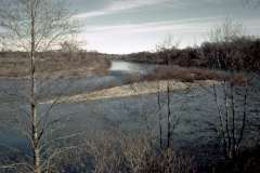 Roto_37_023