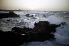 Roto_38_023