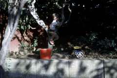 Roto_39_023