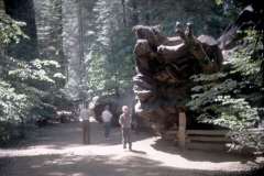 Roto_04_007