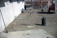 Roto_04_022