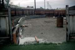 Roto_04_024