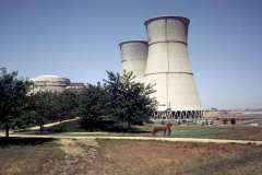 Roto_43_019