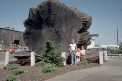 Roto_51_002