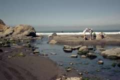 Roto_53_007