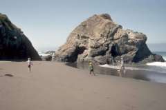 Roto_53_012