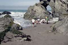 Roto_53_013