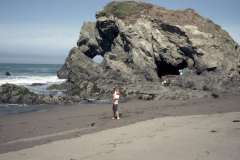 Roto_53_021