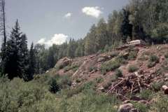 Roto_57_013