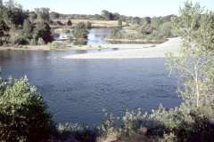 Roto_59_019