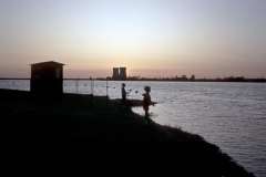 Roto_67_013