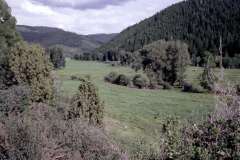 Roto_68_013