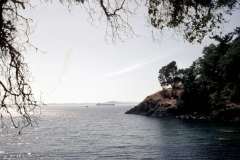 Roto_70_006