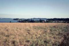 Roto_70_007