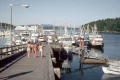 Roto_70_013