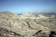 Roto_71_005